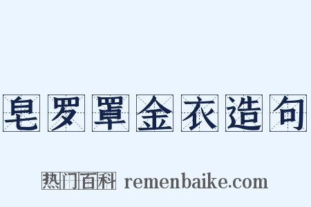 皂罗罩金衣造句是什么意思的图片